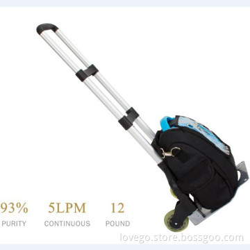 Lovego electric oxygen concentrator